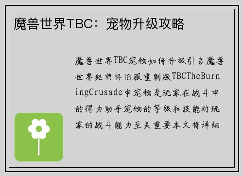 魔兽世界TBC：宠物升级攻略